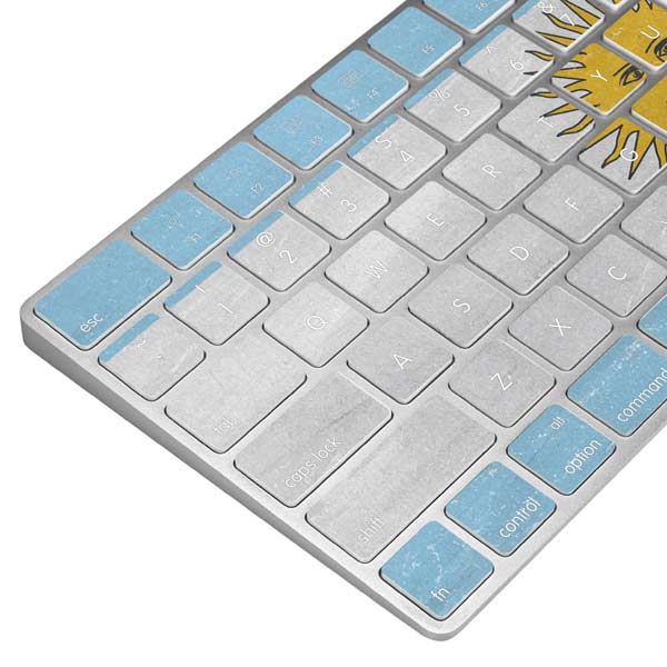 Argentina Flag Distressed PS5 Bundle Skin