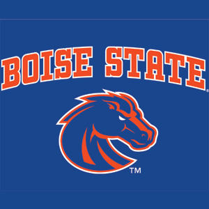 Boise State Broncos Grinch Christmas Car Seat Cover - USALast