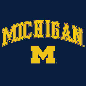 Michigan M Logo Skin – Skinit