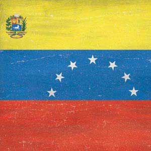 Venezuela Flag Distressed PS5 Bundle Skin